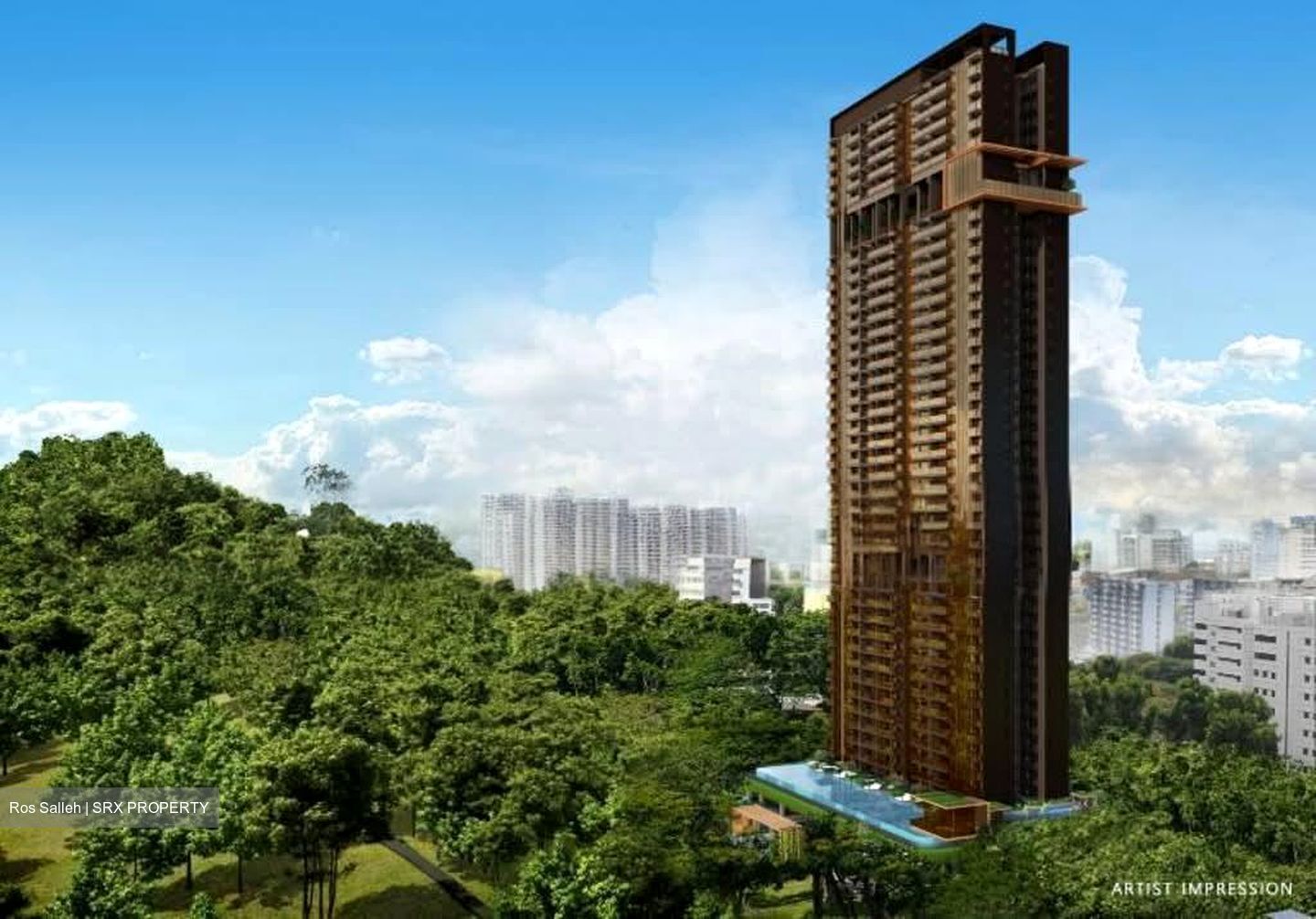 The Landmark (D3), Condominium #597584691